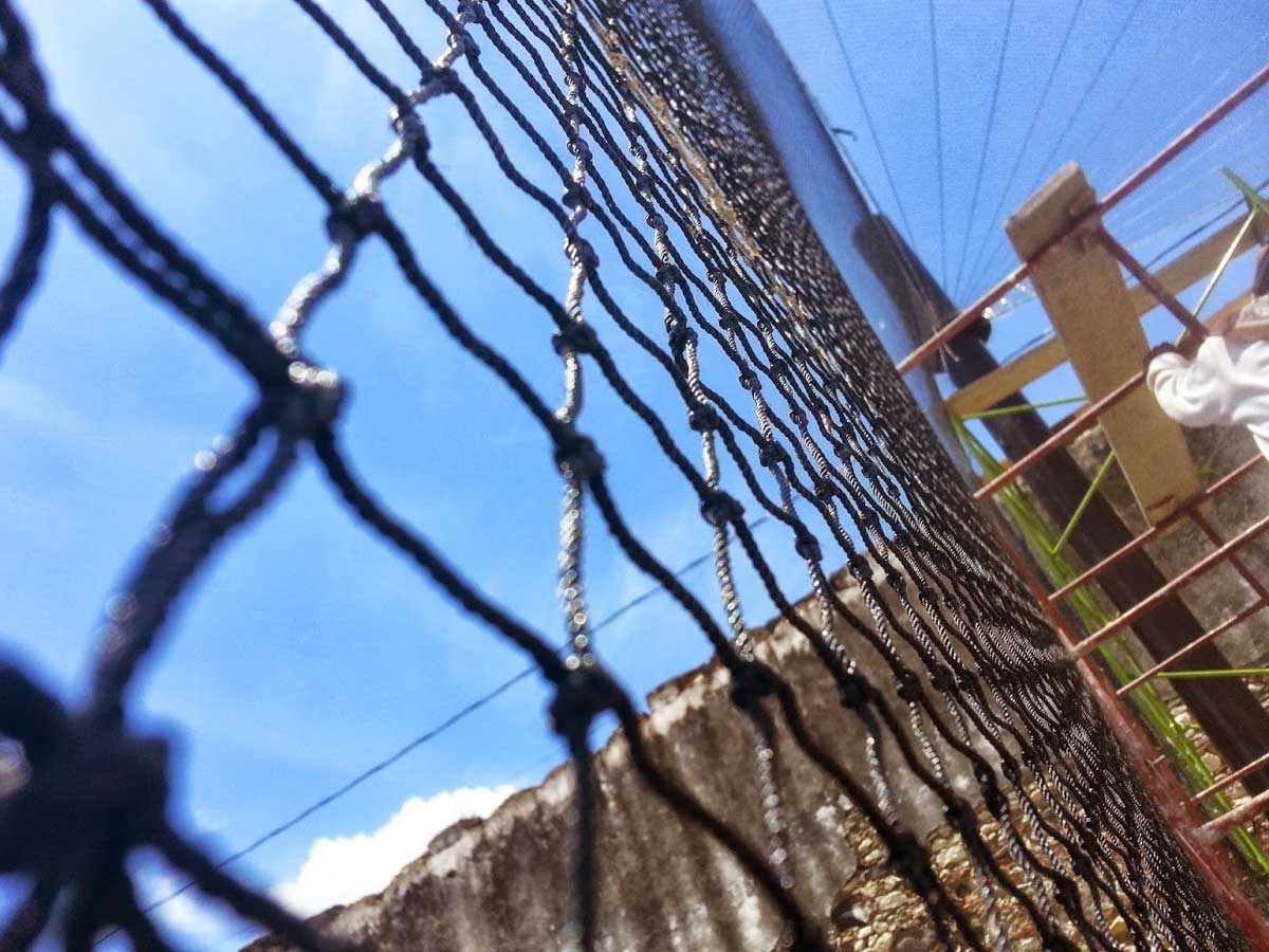 Galería Redes perimetrales para campos de beisbol