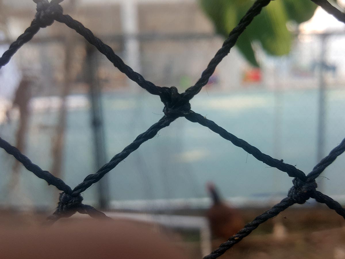 Galería Mallas avicolas